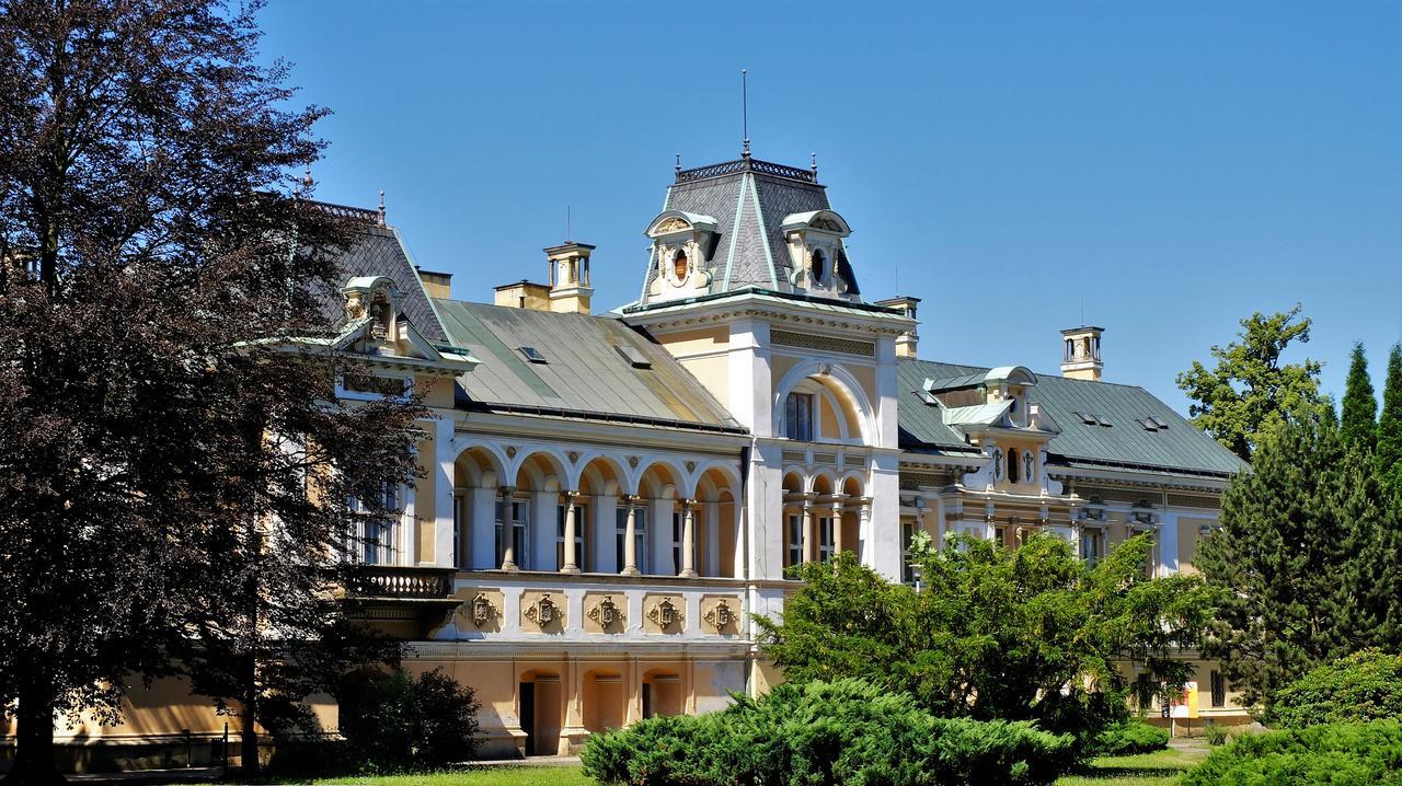 Zamek Svetla Nad Sazavou酒店 外观 照片
